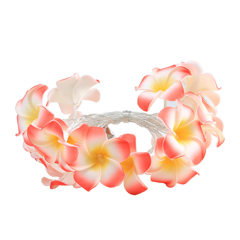 O1CN01QzwBQG1sc2M4yjCrG_!!3515