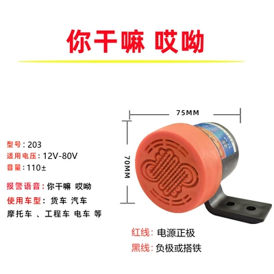 Car horn/tweeter – Universal Personalized Voice Prompts - what-are-you-doing-ouch-12v-80v