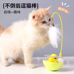 現物の不倒翁は猫の棒の猫のおもちゃを笑わせます。
