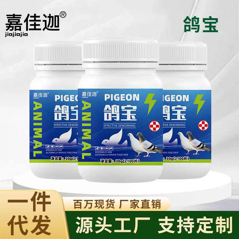 嘉佳迦鸽宝赛鸽种鸽信鸽幼鸽动物鸡鸭鹅鸽鹌鹑禽养殖饲料添加剂