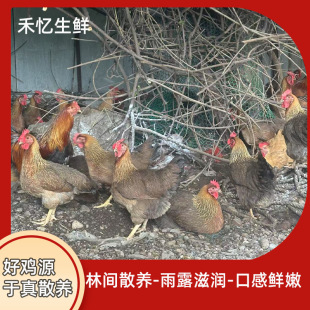 �`ɽ���u���l�����Ĳ��uҬ���u���lԴ�^ֱ���͏d������̹����ֱ