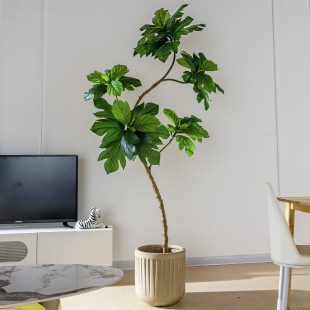 ���ͷ���ֲ�������٘������쾰�^�҃��̈������Gֲ����b[��