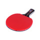 Lanwei lw-0330a (short board, straight board)
