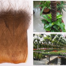 ���ؘ�Ƥ�ؽz�����ؙ���Ƥ�G�}���ؘ��~�ؙ�Ƭ�ؽzƬ�՘�Ƥ����ˮ