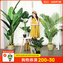 ����Gֲ��ֲ�����˽������Gֲ���Դ����҃��b[���٘�����