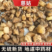 ɽ�ȹ�ë�ȹ���������ș�����lɽ�ȹ������ ���N�����l