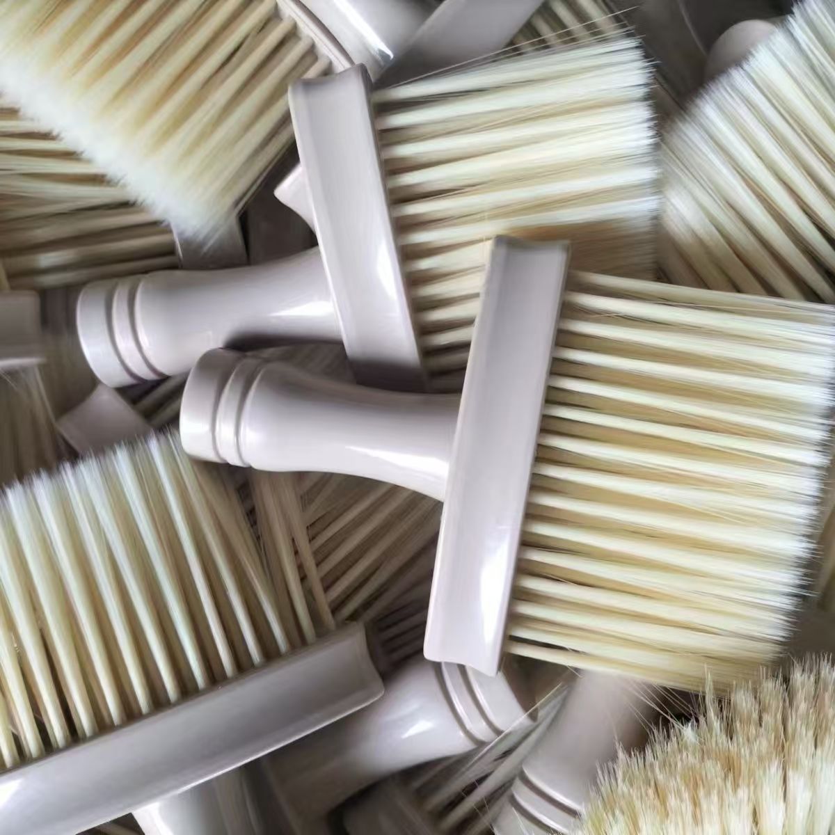 微信图片_202502272156281