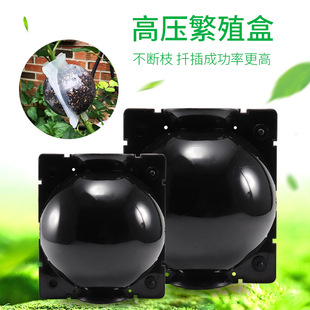 PP���|�߉��ظ���ֲ��޽����L����̖Lֱ̖���_�ڈ@ˇ120mm������