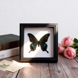 ������˱����G�����P�����նY��̎������I�ͶY���նY��ɒ젝