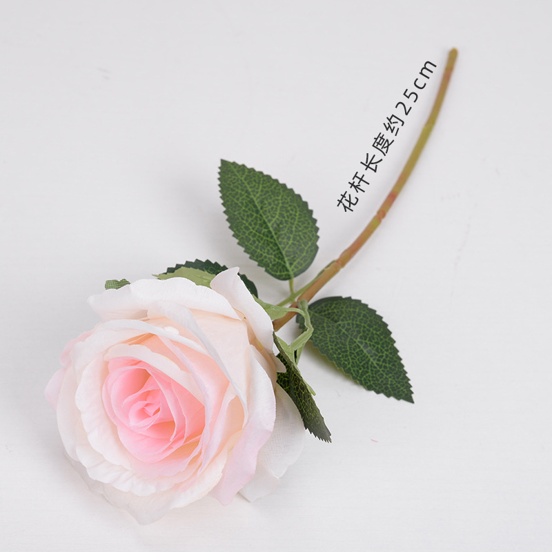 Polvo de carne de rosa bola Bobo