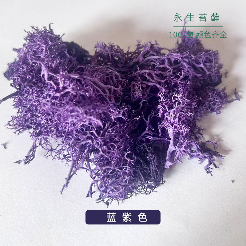 Blue purple