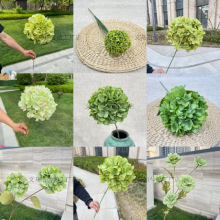 �Gɫϵ���滨����ɭ��ϵ��Y���Ļ�c�����廨���߾Gֲ1