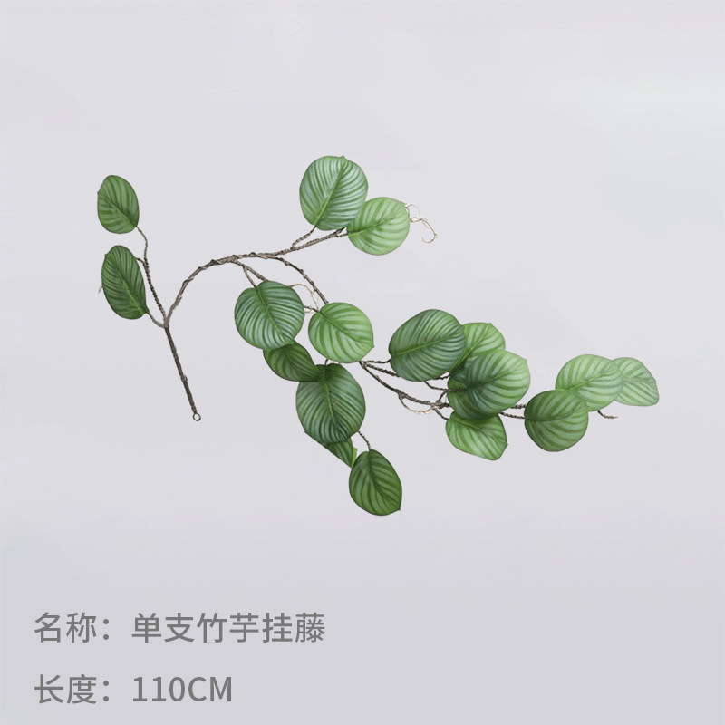 단일 대나무 토란 매달린 덩굴 110cm