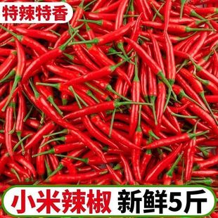 ���r���������r�����콷�t����ָ�콷�ݽ��t�����a��ֱ�l�羳���l