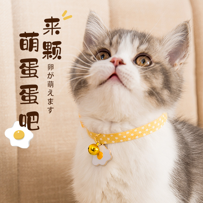 Cute collar gatito collar gatito collar collar