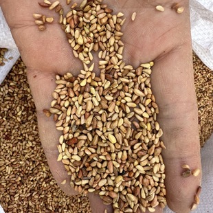 �a�����l�t��õ�N�� ���ܷN�ӎ���õ�� �o�ڎ��� �lѿ�ʃ�