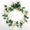 10 small light orange rose vines