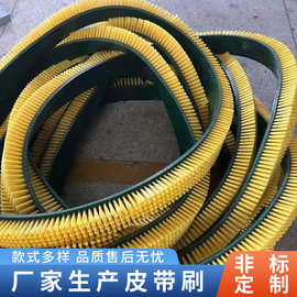 厂家批发皮带刷生产流水线清洗毛刷环形皮带不掉毛皮带刷