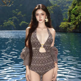 连体泳衣女气质女神大牌低胸镂空美背三角游泳温泉度假高弹高档