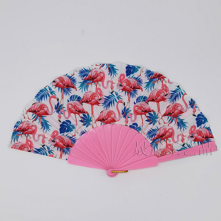 8f343ad7efc4fa699ed9