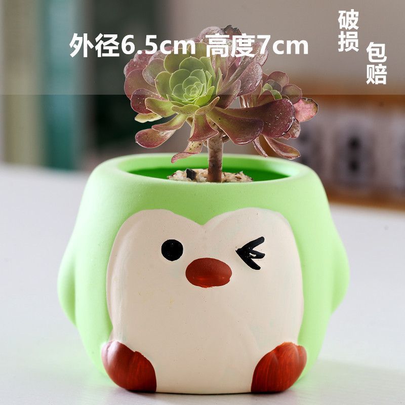 Macetas de cerámica para suculentas con diseño de animales de dibujos animados, pequeño tamaño, para estante de flores en casa, suministro al por mayor