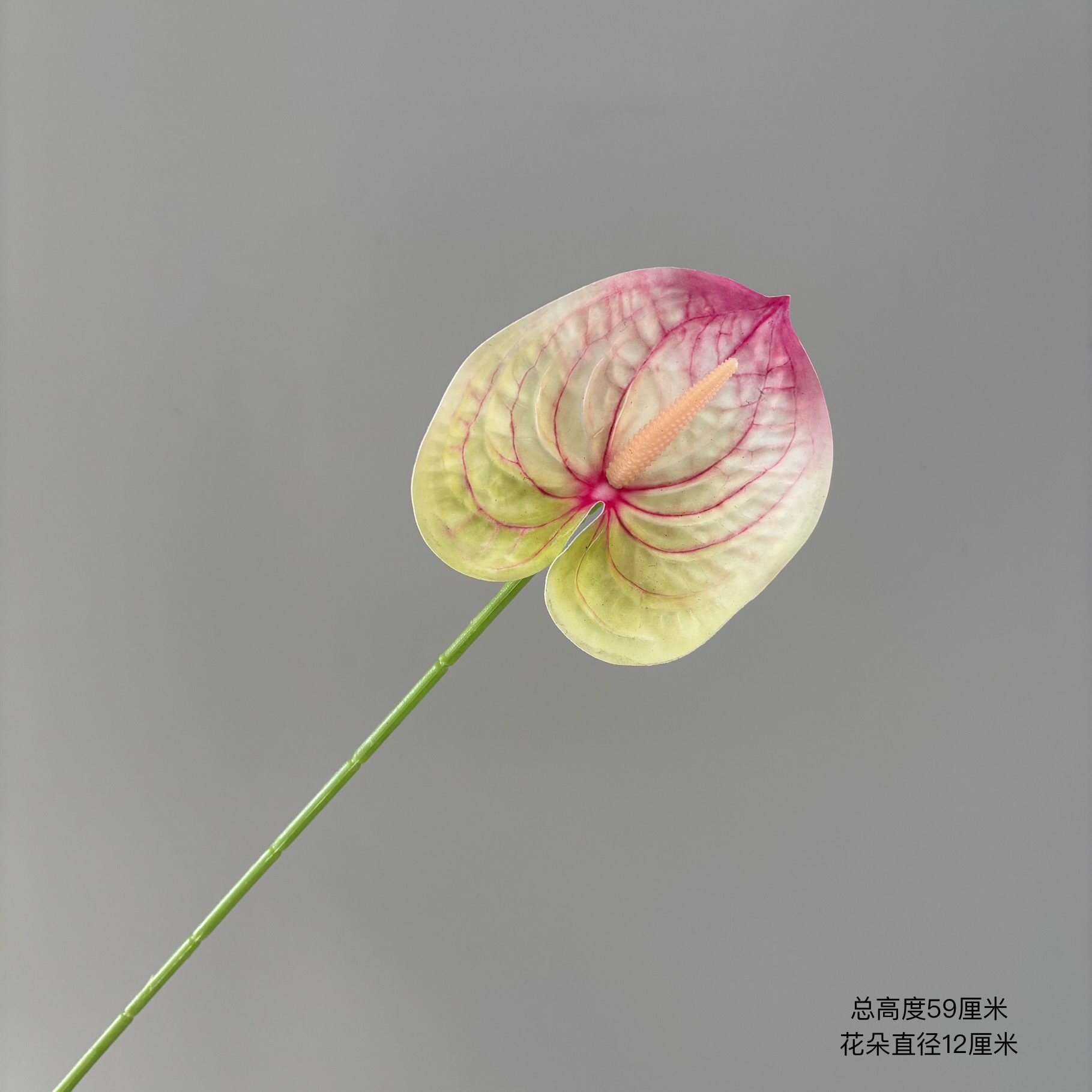 로즈 레드 팁