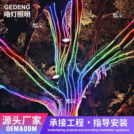 景观灯;LED装饰灯;LED灯带