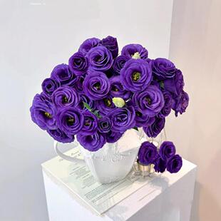 Eustoma Fresh Cut Flowers Real Flowers Home Wedding Decoration Festival Stalls Community Group Purchase Yunnan Flower Base Wholesale