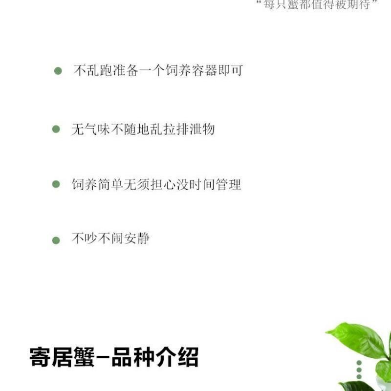 a72aa80b-2b98-486d-8568-f7c57a91b6c4.jpe