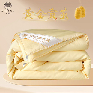 Advanced Tongxiang Silk Quilt Natural Gold Silk Quilt Pure Cotton Class A 100 Mulberry Silk Winter Quilt Thickened Mother and Mother Quilt