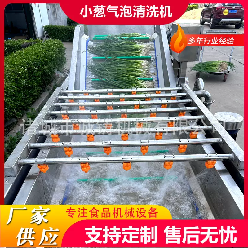 定制豌豆尖气泡清洗机雪里蕻鼓泡喷淋清洗机红薯去泥沙清洗机设备