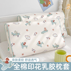 子供の全綿ラテックス枕カバー40x60一対の純綿枕カバー単一30x50赤ちゃん枕芯内胆カバー