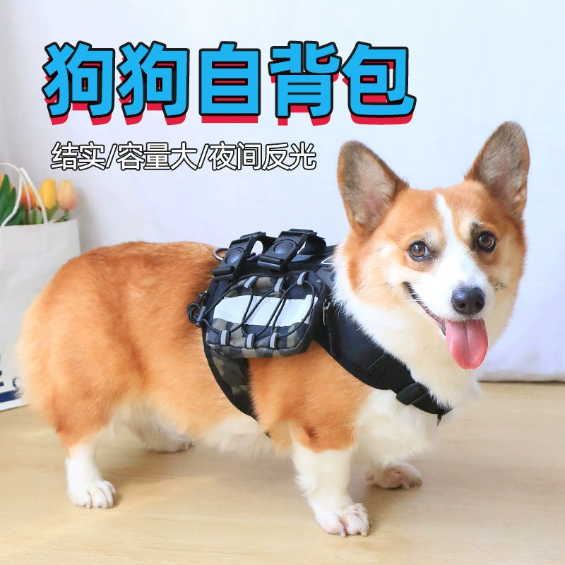 Домашние собаки с рюкзаком из рюкзака