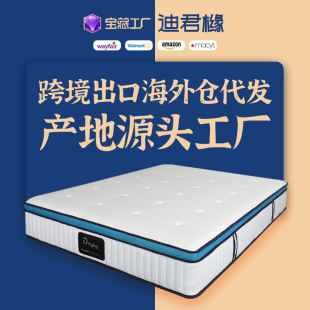 Washable Latex Mattress Diglant Simmons Silent Independent Spring Roll, Soft and Breathable Independent Pocket Spring