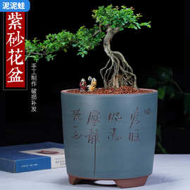 紫砂花盆君子兰兰花多肉文竹发财树植客厅精品透气陶瓷盆景盆包邮