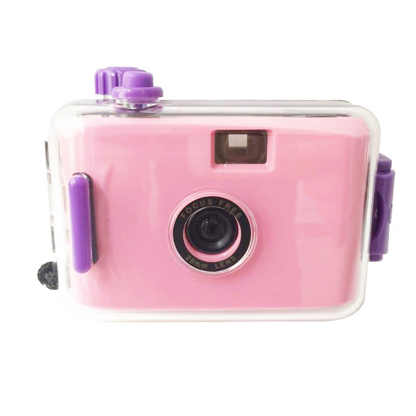 Deep pink purple shell