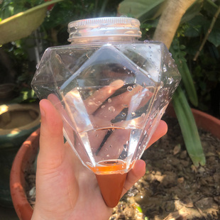 500ML�ʯ�����Ԅӝ�ˮ���ߑ��˝����Bˮϵ�y��ˮ���ι�ι��