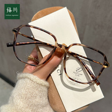0796电商热销大框素颜近视眼镜框男女混批秋季新款个性玳瑁平光镜