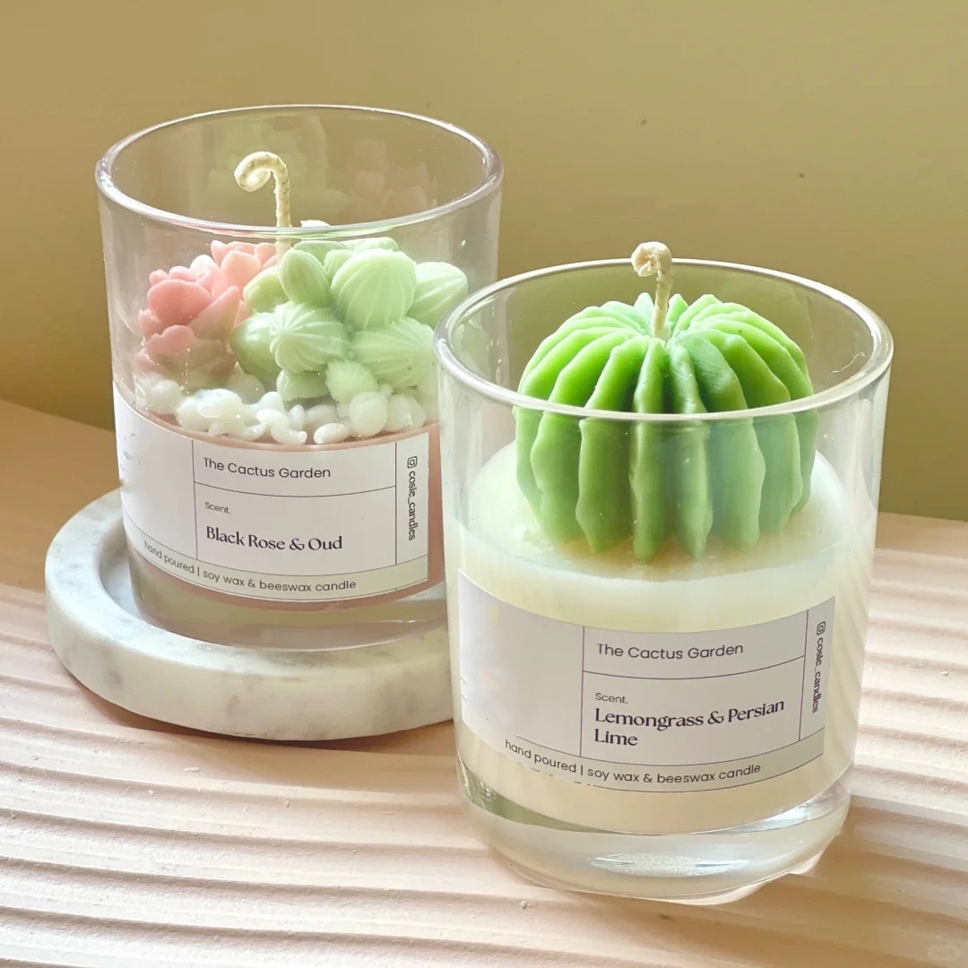 Transfronteriza ins suculenta planta en maceta cactus aromaterapia vela cera de soja decoración de vidrio para novias y amigos