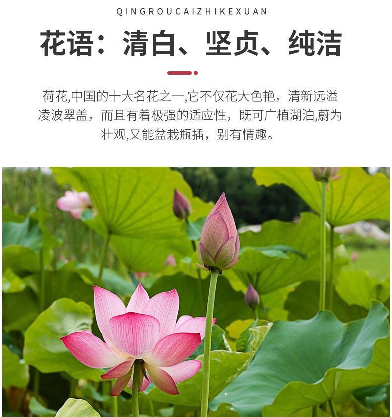 8f9b72db-d50b-4ec2-802c-c222d7588474.jpe