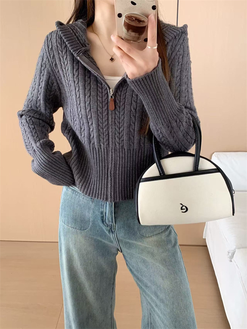 Correa de torsión con capuz de punto Cardigan de mujeres otoño y invierno nuevo suéter con cremallera pequeño delgado corta camisa exterior