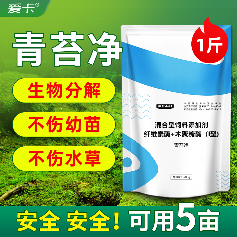 青苔净水产养殖除藻剂青苔生物分解素不伤水草鱼虾蟹塘青苔分解酶