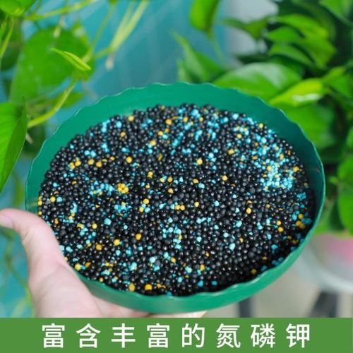 Mild general controlled release fertilizer plant nutrition granules green radish special controlled release fertilizer for flower cultivation general succulent concentrated household