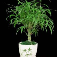 �_�h�����������Ϙ��҃ȿ͏dͥԺ�Gֲ�ļ����ఫ�������辰���B