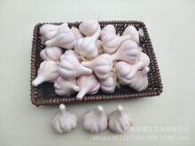 �S��ֱ�N���l��������^��ĭģ�͏N���Ӱ巿�b�Ʒ�߷����߲�ģ��