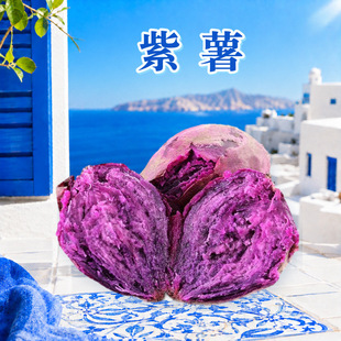 �V�|���� ���l���l3/5/9��ܛŴ���ĵع����_�m����ʳ�����r�߲�