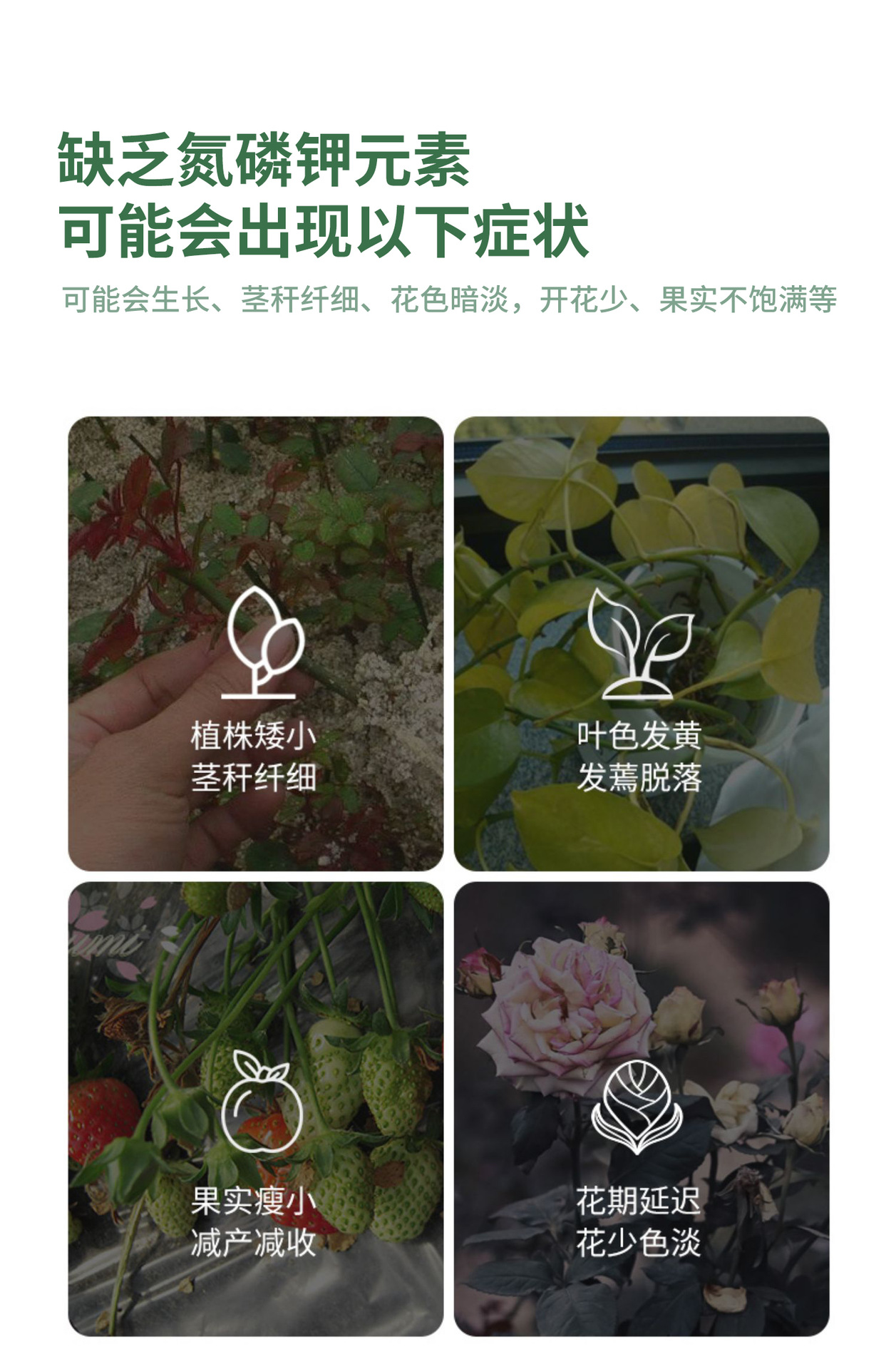 氯化钾红钾颗粒_05