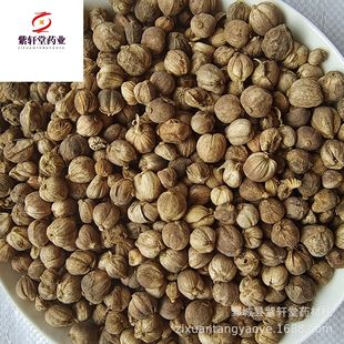 ����܎�á��׶�ޢ500g��؛��������ă������Ĕz��ș�����l�׶�ޢ