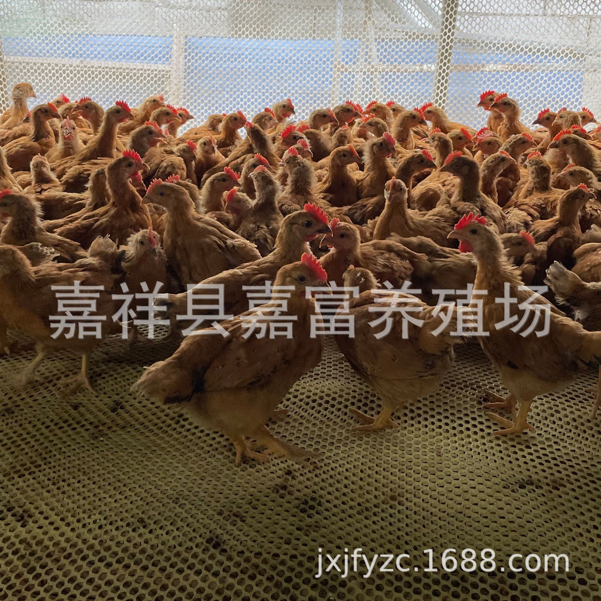 微信图片_202209281218453.jpg