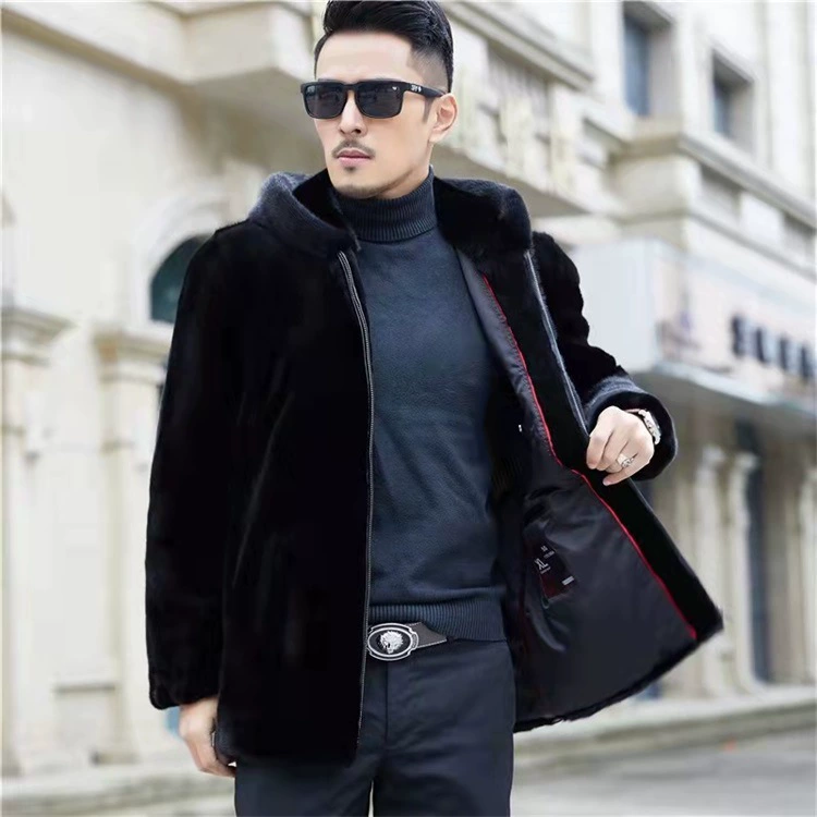 Jacket, demi-season set, classic coat for leisure with hood